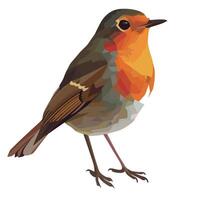 Colorful bird perched with vibrant feathers in a serene natural setting vector