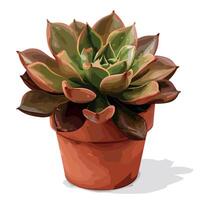 Succulent plant in a terracotta pot placed on a flat surface indoors vector