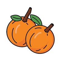 Two oranges are shown on a white background vector