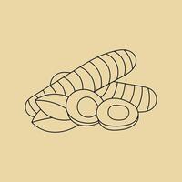 Illustration line sketch turmeric spice unique design vector