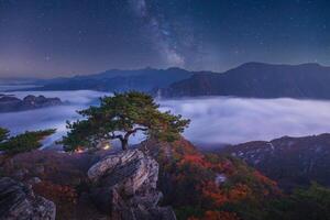 Autumn in Korea, Pine trees towering on the rocks atop Jebibong. at night, a sea of mist flows through the river in the valley In the autumn of Waraksan Mountain National Park, South Korea. photo