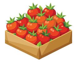 Tomatoes in a box vector