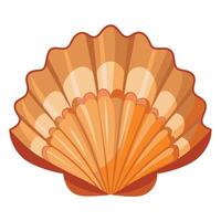Scallop shell isolated on white background illustration vector