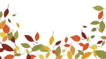 Autumn sale background with multicolor leave flat illustration. space for text vector