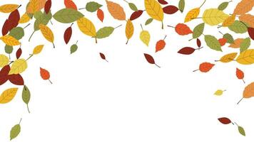 Red, orange, yellow, brown and green autumn foliage background template empty space for text vector