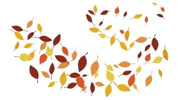 Multicolor leaf foliage swirl design element illustration isolated seasonal abstract decorative for autumn vector