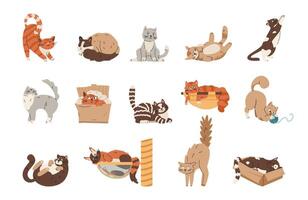 Different cats playing, sleeping, stretching, relaxing flat illustrations set isolated on white. vector