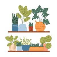 Indoor plants in a pot on a shelf. House plants are on a shelf. illustration.Flat style. Modern plants in pots. vector
