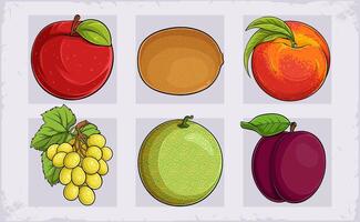 Hand drawn set of exotic fruits, grapes, kiwi, peach, cantaloupe, red apple, plum with green leaves vector