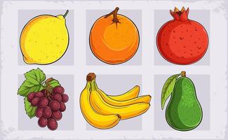 Hand drawn set of fresh organic fruits lemon, pear, bunch of bananas, grapes, pomegranate, orange vector