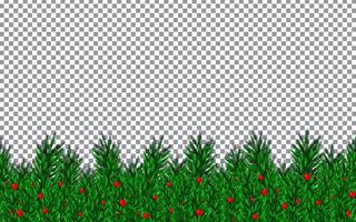 Christmas, New Year, Winter border with realistic branches of Xmas Christmas tree elements for festive design isolated on transparent background vector