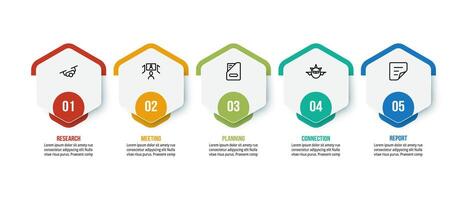 Options for business presentation infographic template. vector
