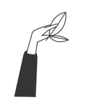 a hand holding a leaf icon on a white background vector