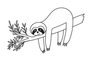 Hand drawn sloth hanging on tree with leaves vector