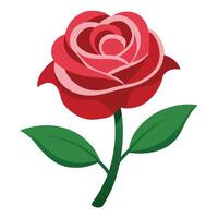 A red rose with green leaves on a white background vector