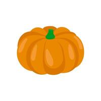 Pumpkin , Autumn illustration vector