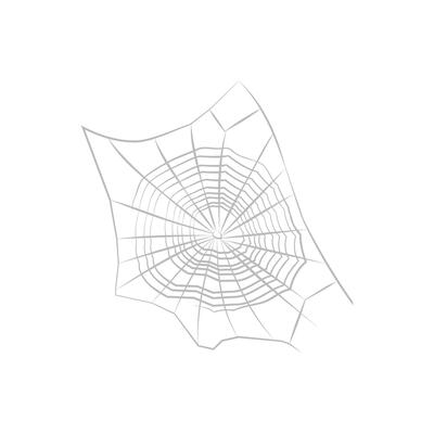 Spider Net, Halloween Illustration