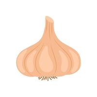 Garlic Flat Icon, illustration vector