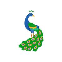 Peacock, Indian Symbol illustration vector