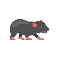 Tasmanian Devil, Australia Symbols vector