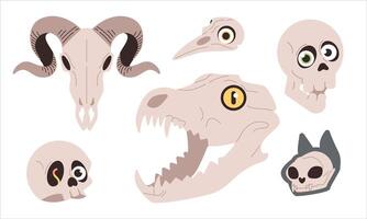 Set of skulls. Set of different animal skulls vector