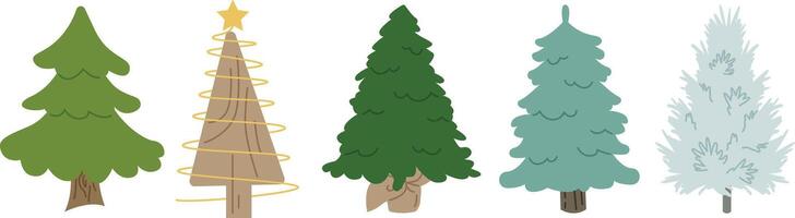 5 Spruce And Pine Trees vector