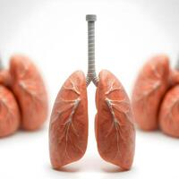 Human Lungs 3d with deep details. AI photo