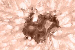 Amazing agate cut cross section. Natural crystal mineral formation. Beautiful texture macro photo background of precious stone color of 2025 year