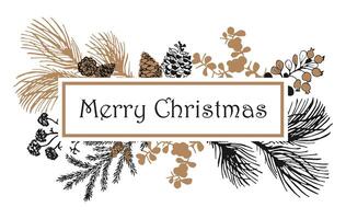 Merry Christmas winter botanical patterned frame. Pine branches, cones, berries, hand drawing. vector
