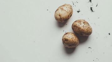 Three raw potatoes display their earthy texture and speckled skin on a white surface photo