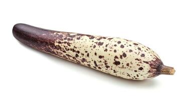 Marrow lying flat against a white background, showcasing its unique speckled texture photo
