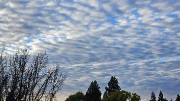 Beautiful cloud patterns formed in a summer afternoon in a blue sky with a silhouette of tree shadows in the background in walnut creek, California photo