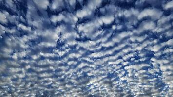 Beautiful cloud patterns formed in a summer afternoon in a blue sky with a silhouette of tree shadows in the background in walnut creek, California photo