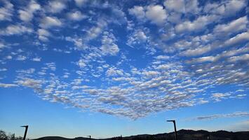 Beautiful cloud patterns formed in a summer afternoon in a blue sky with a silhouette of tree shadows in the background in walnut creek, California photo
