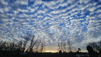 Beautiful cloud patterns formed in a summer afternoon in a blue sky with a silhouette of tree shadows in the background in walnut creek, California photo
