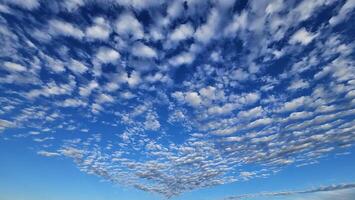 Beautiful cloud patterns formed in a summer afternoon in a blue sky with a silhouette of tree shadows in the background in walnut creek, California photo