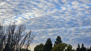 Beautiful cloud patterns formed in a summer afternoon in a blue sky with a silhouette of tree shadows in the background in walnut creek, California photo