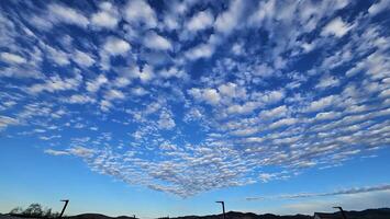 Beautiful cloud patterns formed in a summer afternoon in a blue sky with a silhouette of tree shadows in the background in walnut creek, California photo