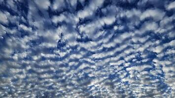 Beautiful cloud patterns formed in a summer afternoon in a blue sky with a silhouette of tree shadows in the background in walnut creek, California photo