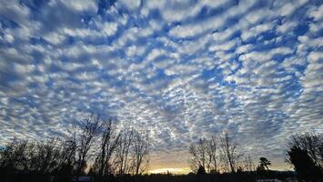 Beautiful cloud patterns formed in a summer afternoon in a blue sky with a silhouette of tree shadows in the background in walnut creek, California photo
