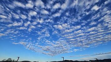Beautiful cloud patterns formed in a summer afternoon in a blue sky with a silhouette of tree shadows in the background in walnut creek, California photo