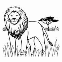 king lion in desert tree vector
