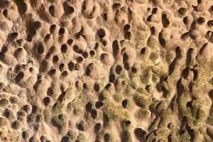 Close up of weathered rock surface with erosion patterns and mossy accents. photo
