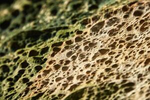 Close up of natural porous texture in organic material featuring intricate patterns and colors for design inspiration. photo