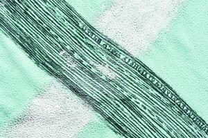 Close up of microscopic plant cell walls with green chlorophyll in abstract pattern. photo