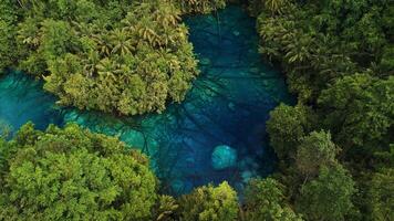 Fresh water lake with crystal blue water in tropical Indonesia. Panoramic above view video