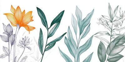Elegant Botanical Line Art Floral Leaf Illustrations Nature Design photo