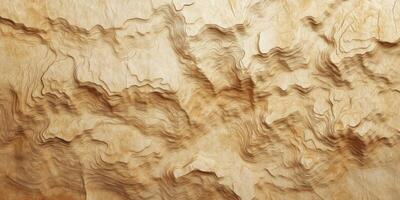 Topographic Map Texture Abstract Beige Wooden Relief Art Background photo
