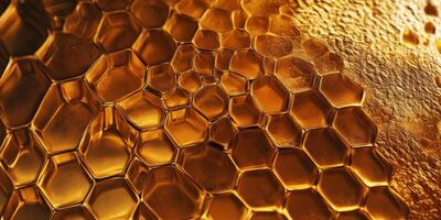 Close-up View of Natural Honeycomb Structure with Golden Honey and Texture Showing Intricate Hexagonal Patterns and Organic Materials in Warm Lighting photo