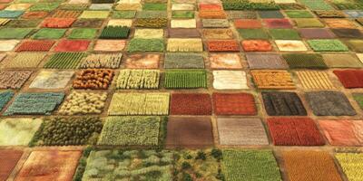 Aerial View of Colorful Patchwork Fields with Varied Crops and Textures in Agricultural Landscape During Daytime with Vibrant Color Palette photo